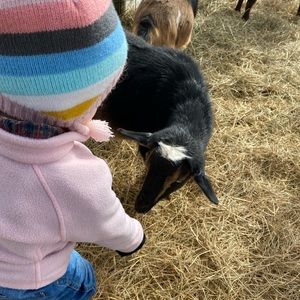 Meet your Posher, Andrea